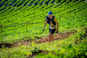 BIB: 2030
                            <button type="button" onclick="openModal(19161428)" class="btn btn-primary btn-sm float-right btn-popup" data-toggle="modal" data-target=".modal-high-quality">
                        <i class="fas fa-shopping-cart"></i> Add to Cart
                    </button>
                                            <button type="button" onclick="isThisMe(19161428, true)" class="btn btn-success btn-sm float-right btn-popup btn-isme hidden" data-toggle="tooltip" data-placement="bottom" title="นี่คือรูปของคุณใช่ไหม คลิกที่นี่เพื่อเอาเข้าอัลบั้ม">
                        <i class="fas fa-plus"></i> Add to album
                    </button>
                    <button type="button" onclick="isThisMe(19161428, false)" class="btn btn-warning btn-sm float-right btn-popup btn-isnotme hidden">
                        <i class="fas fa-ban"></i> Remove from album
                    </button>